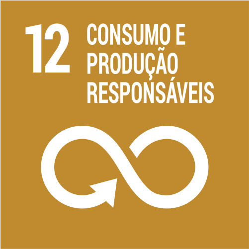 objetivo-12